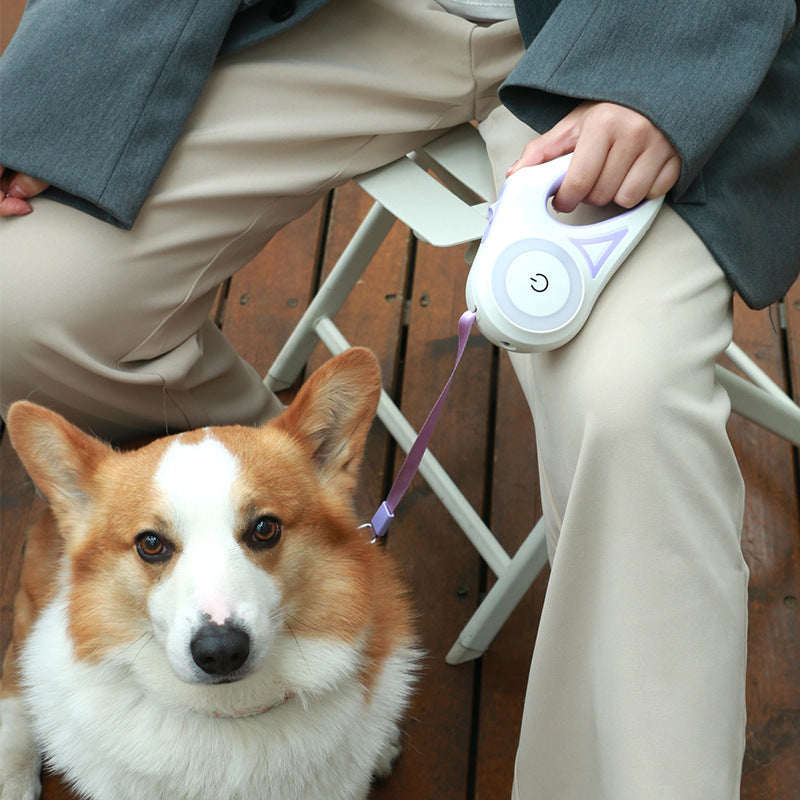 Retractable Dog Leash with LED Light & Collar