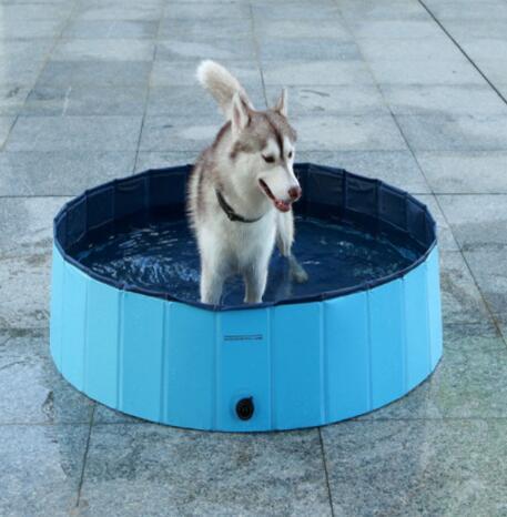 Foldable Dog Swimming & Bath Pool